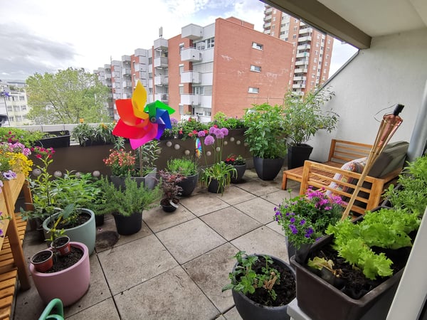 1.5 Zimmerwohnung in Basel 1