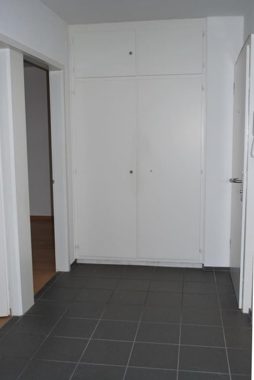 1.5 Zimmerwohnung in Birsfelden 3