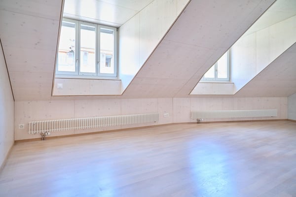 Viel Raum zum Leben stilvolle Einfamilienhaus in Dorfnähe Allschwil 8
