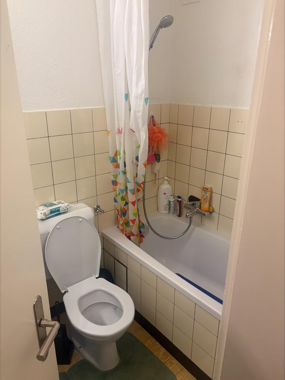 2.0 Zimmerwohnung in Basel 3