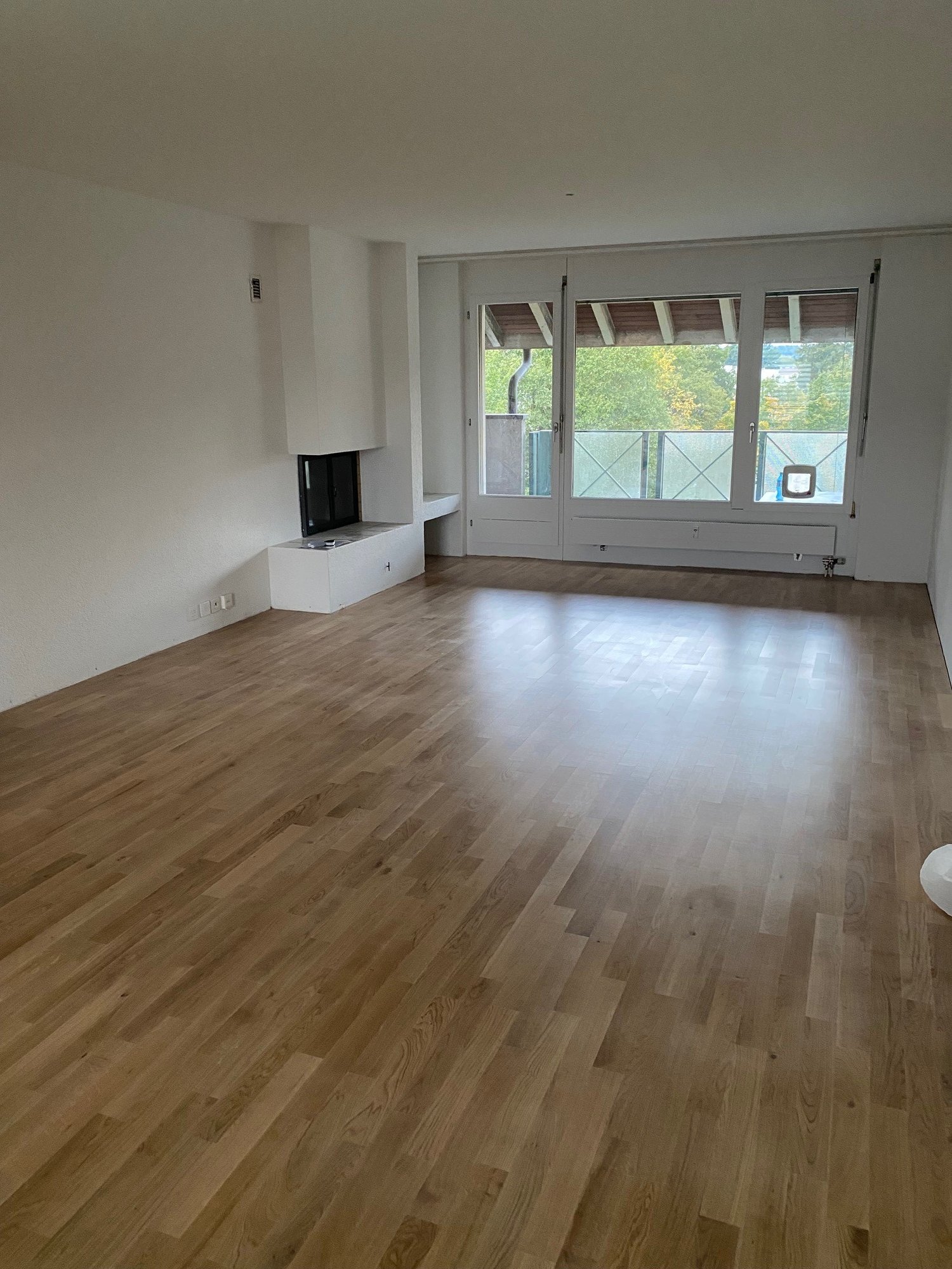 Bild neu renovierte 4.5-Zimmer-Dachwohnung mit grossem Balkon