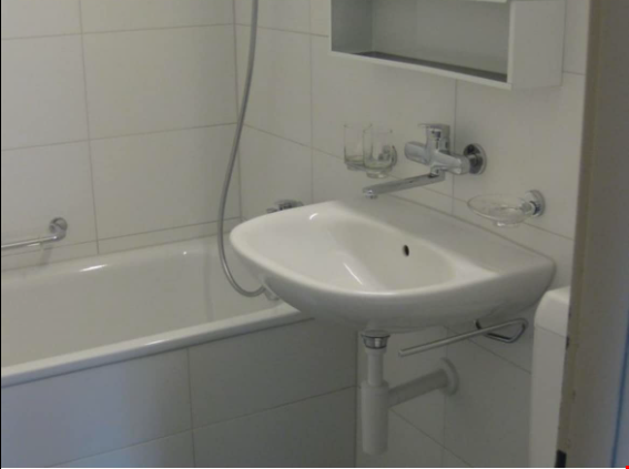 renovierte 4.5-Zimmerwohnung in ruhigem Quartier 3