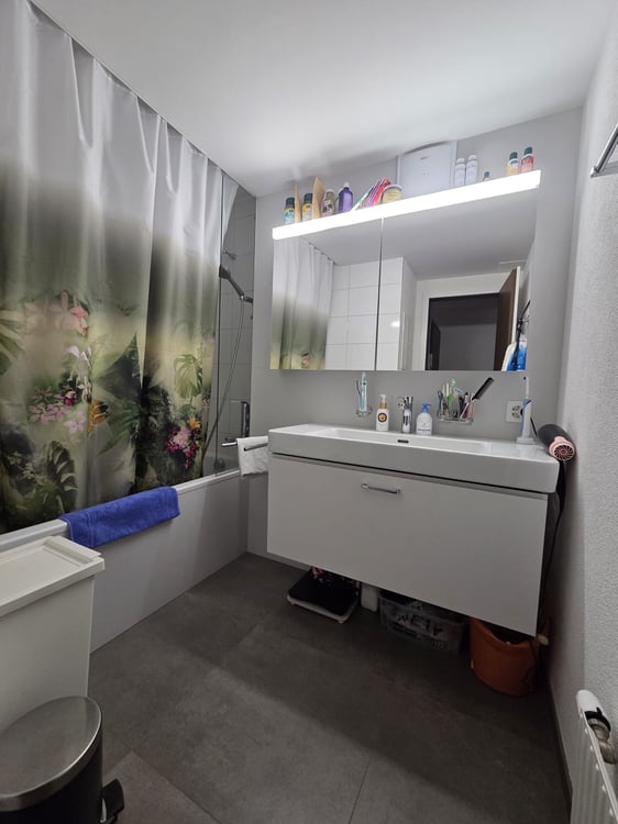 grosse 3.5-Zimmerwohnung mit zusätzlicher Galerie und eigener Waschküche 7