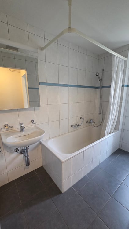 appartement rénové de 3,5 pièces 8