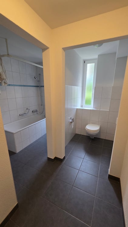appartement rénové de 3,5 pièces 7