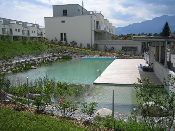 Attraktive, helle Attika-Wohnung mit Schwimmteichnutzung und grosser Terrasse 84m2 11