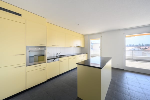 Attraktive, helle Attika-Wohnung mit Schwimmteichnutzung und grosser Terrasse 84m2 4