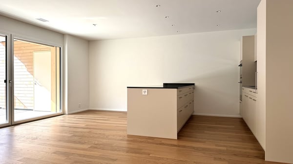 Wohnung mit riesiger Terrasse - Hochwertig ausgebaut und bezugsbereit 8