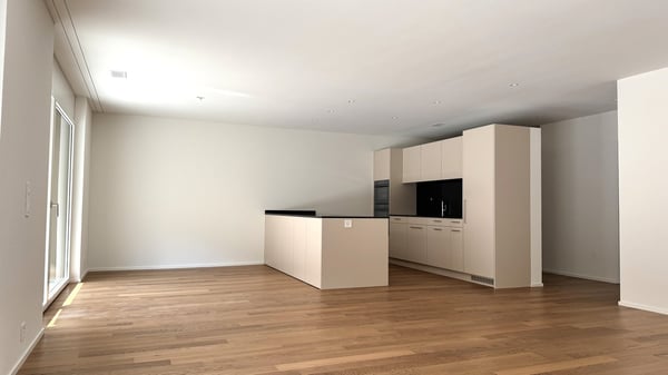 Wohnung mit riesiger Terrasse - Hochwertig ausgebaut und bezugsbereit 4