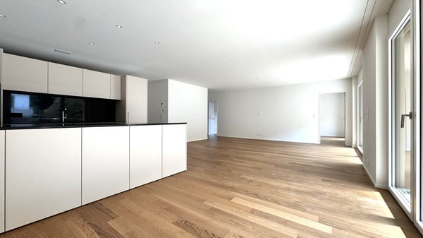 Wohnung mit riesiger Terrasse - Hochwertig ausgebaut und bezugsbereit 10