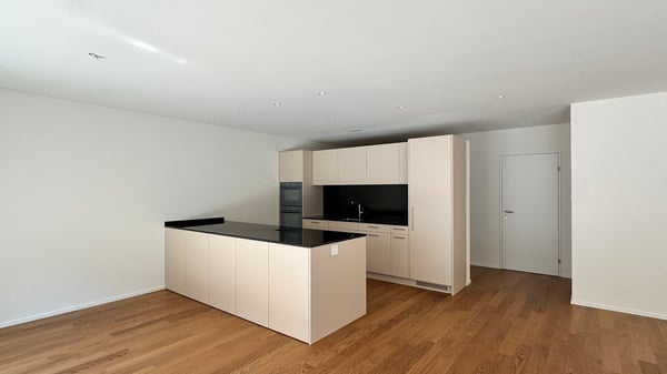 Wohnung mit riesiger Terrasse - Hochwertig ausgebaut und bezugsbereit 6