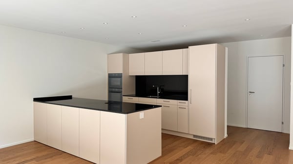 Wohnung mit riesiger Terrasse - Hochwertig ausgebaut und bezugsbereit 7
