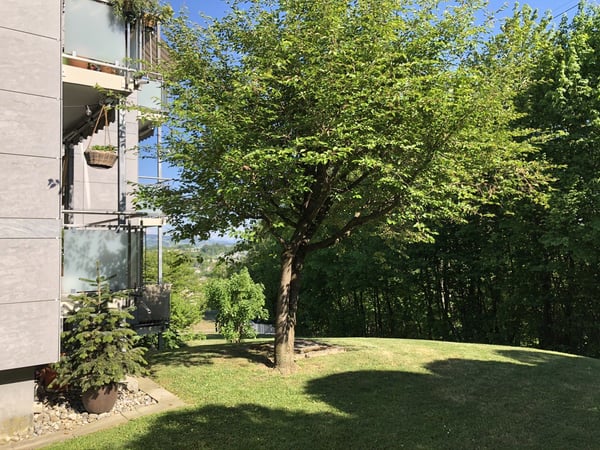 Gepflegte Wohnung mit Blick ins Grüne 11