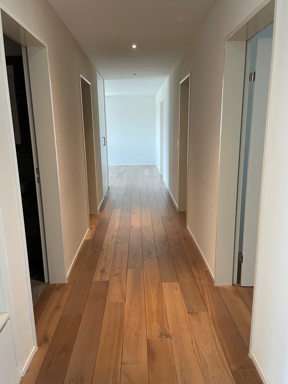geniale 4.5-Zimmer-Attikawohnung mit grosser Dachterrasse 58 m2! 8