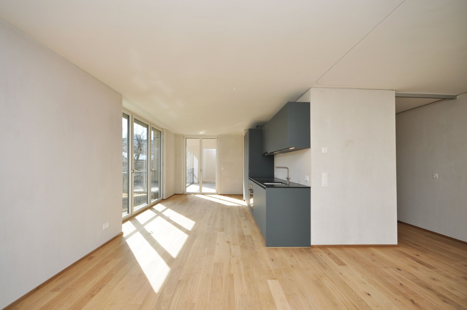 empty room, hardwood floor, white walls, large windows, kitchen area with sink and cabinets