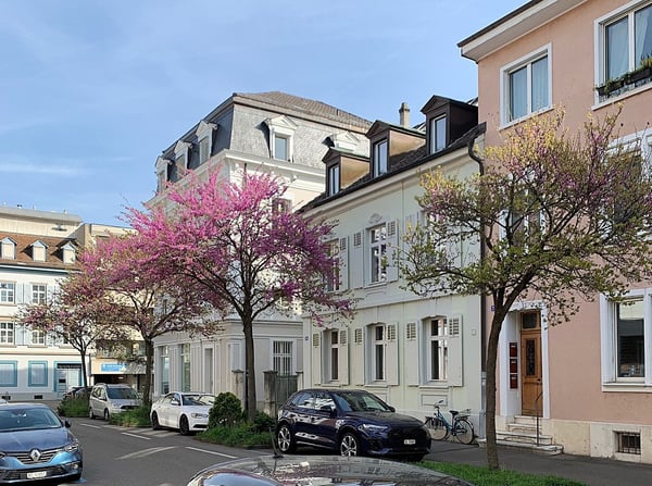 Stadthauscharme trifft modernen Wohnkomfort - Urban Wohnen mit historischem Flair 1