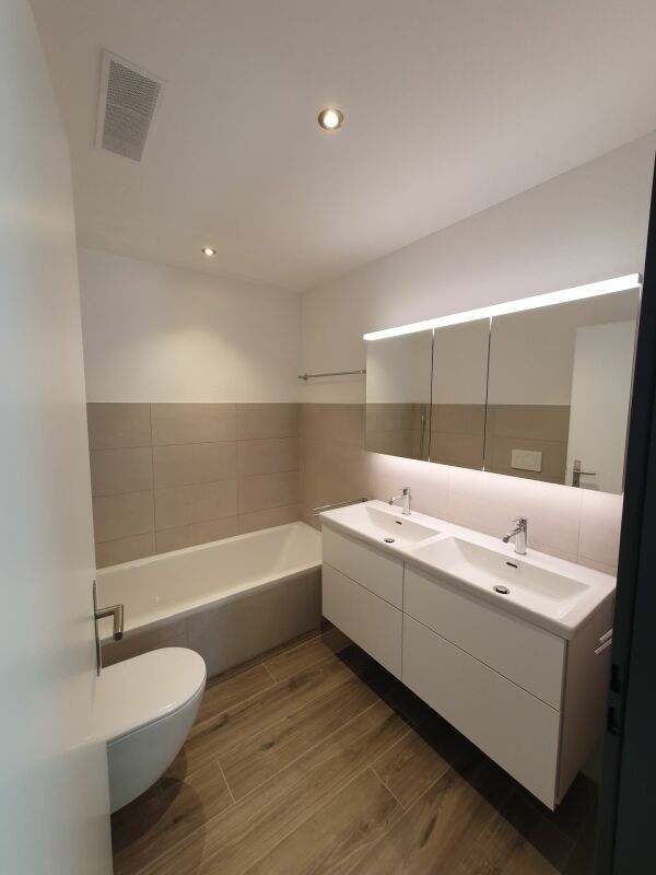 Rental: 4.5-room attic apartment