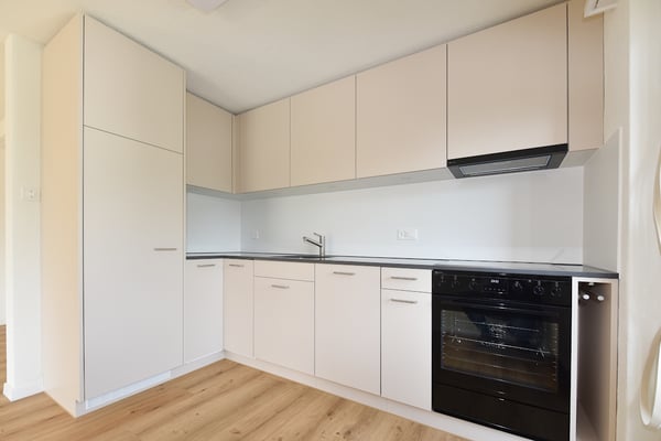 4.5-Zimmerwohnung frisch renoviert 3