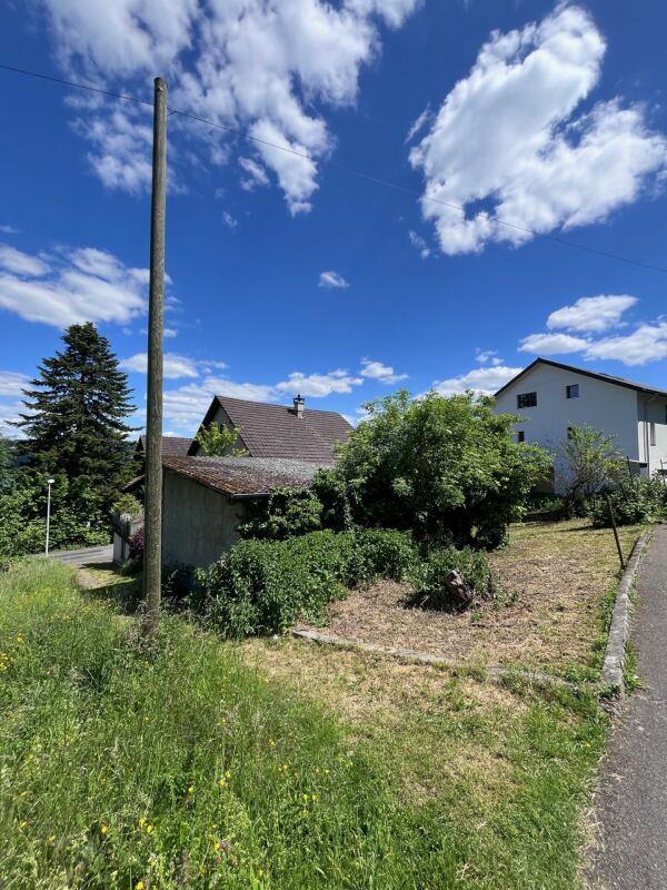 Building land with old property (MFH new building concept study available)