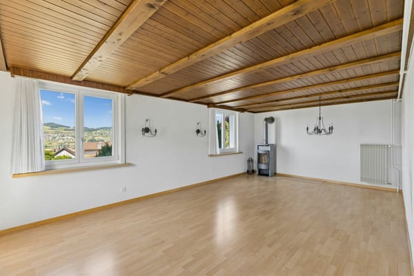 Grosses Bauernhaus mit Scheune / Bauland für Neubauprojekt 11