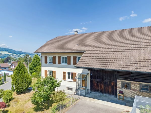Grosses Bauernhaus mit Scheune / Bauland für Neubauprojekt 3