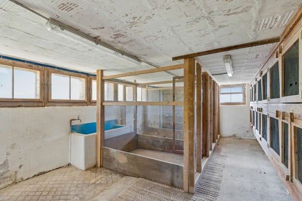 Grosses Bauernhaus mit Scheune / Bauland für Neubauprojekt 19