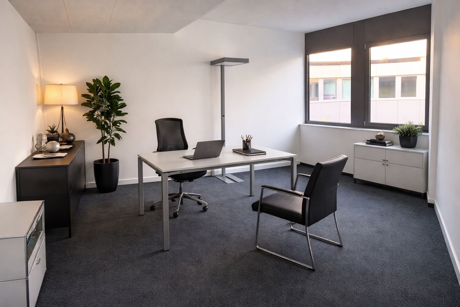 modern office with white walls, gray carpet, white desk, black office chairs, floor lamp, potted plants, cabinets, and a laptop