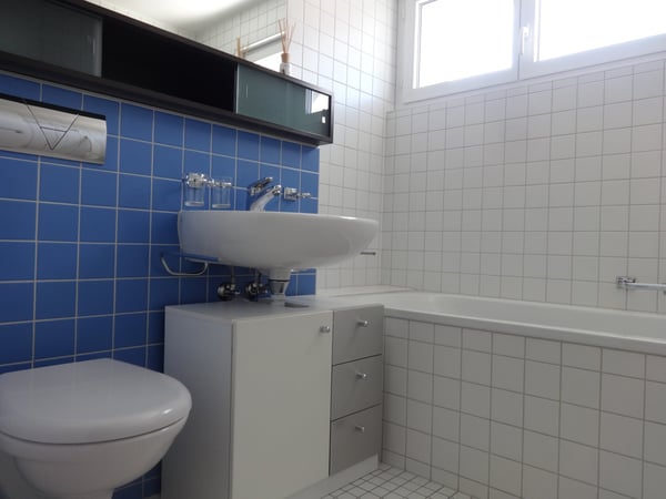 Charmante 1-Zimmer-Dachwohnung in ruhiger Lage 7