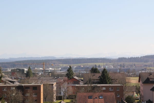 Grosse, helle und komplett renovierte 1.5 Zimmer-Wohnung mit toller Aussicht bis in die Alpen 19
