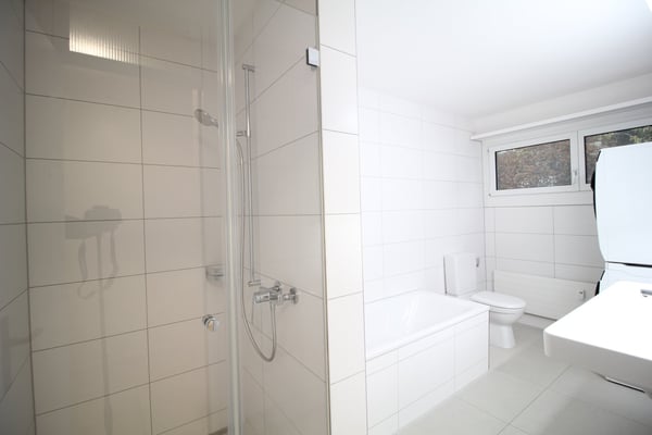 Grosse, helle und komplett renovierte 1.5 Zimmer-Wohnung mit toller Aussicht bis in die Alpen 10