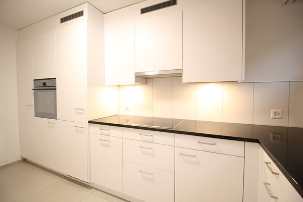 Grosse, helle und komplett renovierte 1.5 Zimmer-Wohnung mit toller Aussicht bis in die Alpen 5