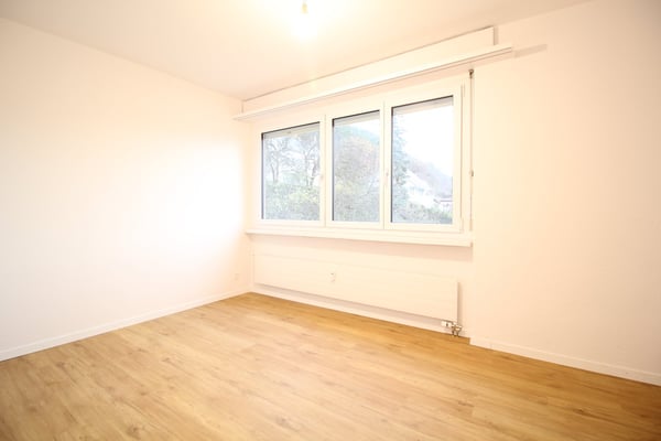 Grosse, helle und komplett renovierte 1.5 Zimmer-Wohnung mit toller Aussicht bis in die Alpen 14