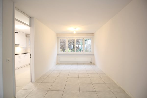 Grosse, helle und komplett renovierte 1.5 Zimmer-Wohnung mit toller Aussicht bis in die Alpen 6