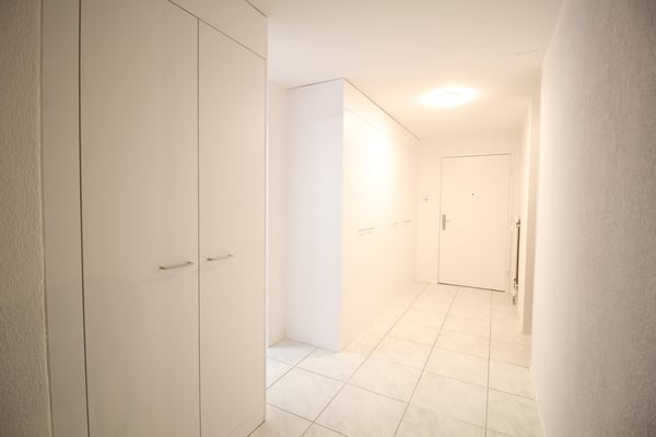 Grosse, helle und komplett renovierte 1.5 Zimmer-Wohnung mit toller Aussicht bis in die Alpen 15