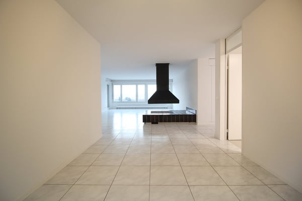 Grosse, helle und komplett renovierte 1.5 Zimmer-Wohnung mit toller Aussicht bis in die Alpen 3