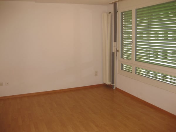 Charmantes 2-Zimmer-Apartment im 4. OG in St. Gallen 3