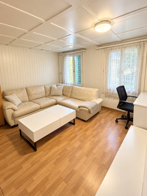Gemütliche 3-Zimmer-Wohnung im Altbau in Herisau 9