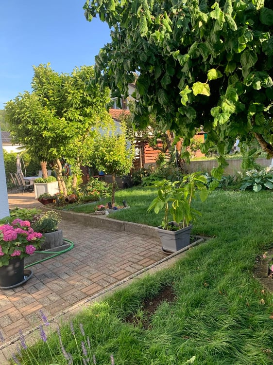 DIE LIEGENSCHFT IST BANKENGEPRÜFT / DIE GELEGENHEIT UM DIESES SCHMUCKSTÜCK FÜR SICH ZU GEWINNEN 19