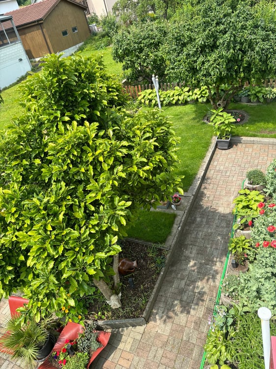 DIE LIEGENSCHFT IST BANKENGEPRÜFT / DIE GELEGENHEIT UM DIESES SCHMUCKSTÜCK FÜR SICH ZU GEWINNEN 9