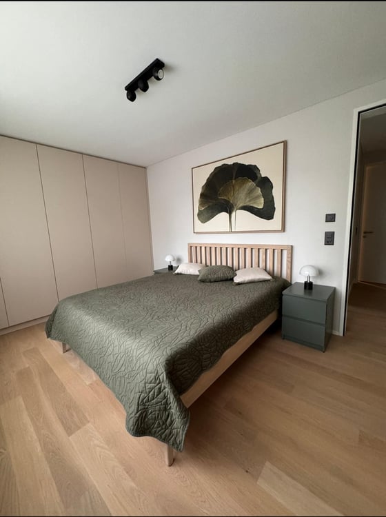 WOHNEN IM SONNENPARADIES VON SENNWALD EIN HAUCH VOM TICINO 6