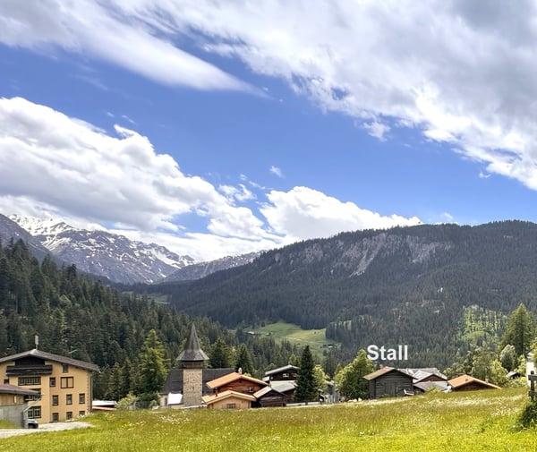 Idyllisches Bauland in malerischer Berglandschaft (Erstwohnsitz) 3