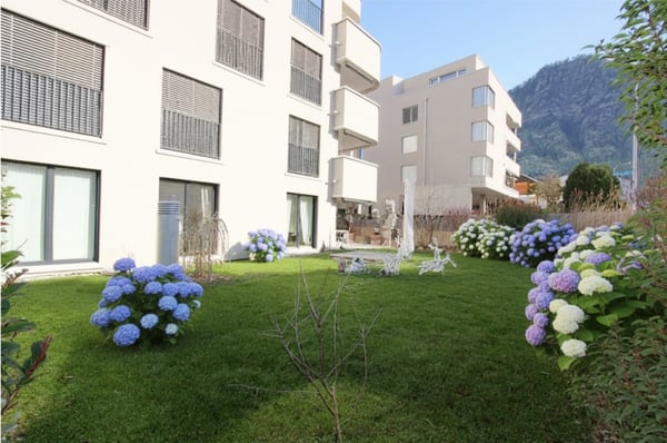 Ein Zuhause - viele Vorteile 1