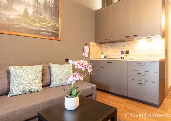 Modernes Maisonette Appartement möbliert - Wohnen mit Stil 4