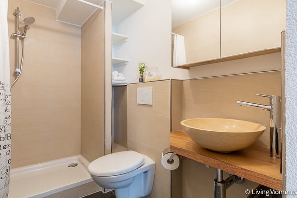 Modern und gemütliches möbliertes 1.5-Zimmer Appartement in Sargans 4