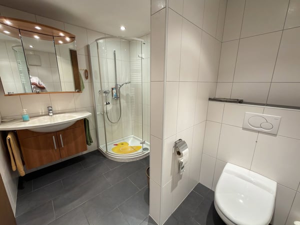 Charmante 2-Zimmer-Wohnung mit Bergpanorama in Scuol 10