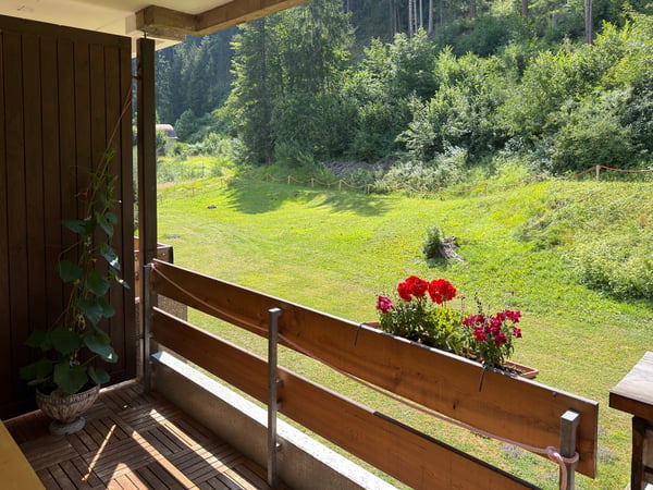 Charmante 1-Zimmer-Wohnung mit Balkon und herrlicher Aussicht in Vulpera 2