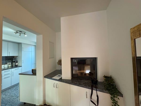 Grosszügige 1.5-Zimmer-Duplex-Wohnung mit Cheminée in Zug 4