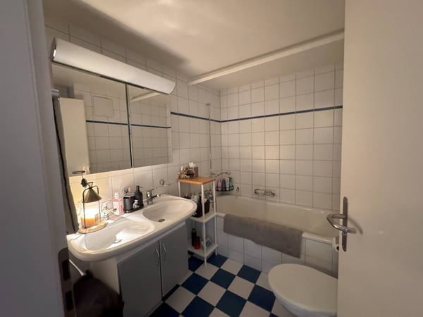 Grosszügige 1.5-Zimmer-Duplex-Wohnung mit Cheminée in Zug 5