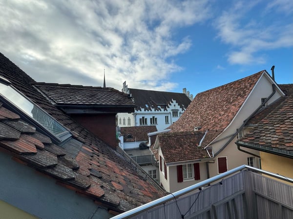 Grosszügige 1.5-Zimmer-Duplex-Wohnung mit Cheminée in Zug 10