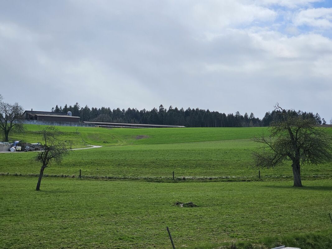 Ihr Wohntraum im Grünen - Exklusive Eigentumswohnungen mit Aussicht im Liebensberg (Gemeinde Wiesendangen)